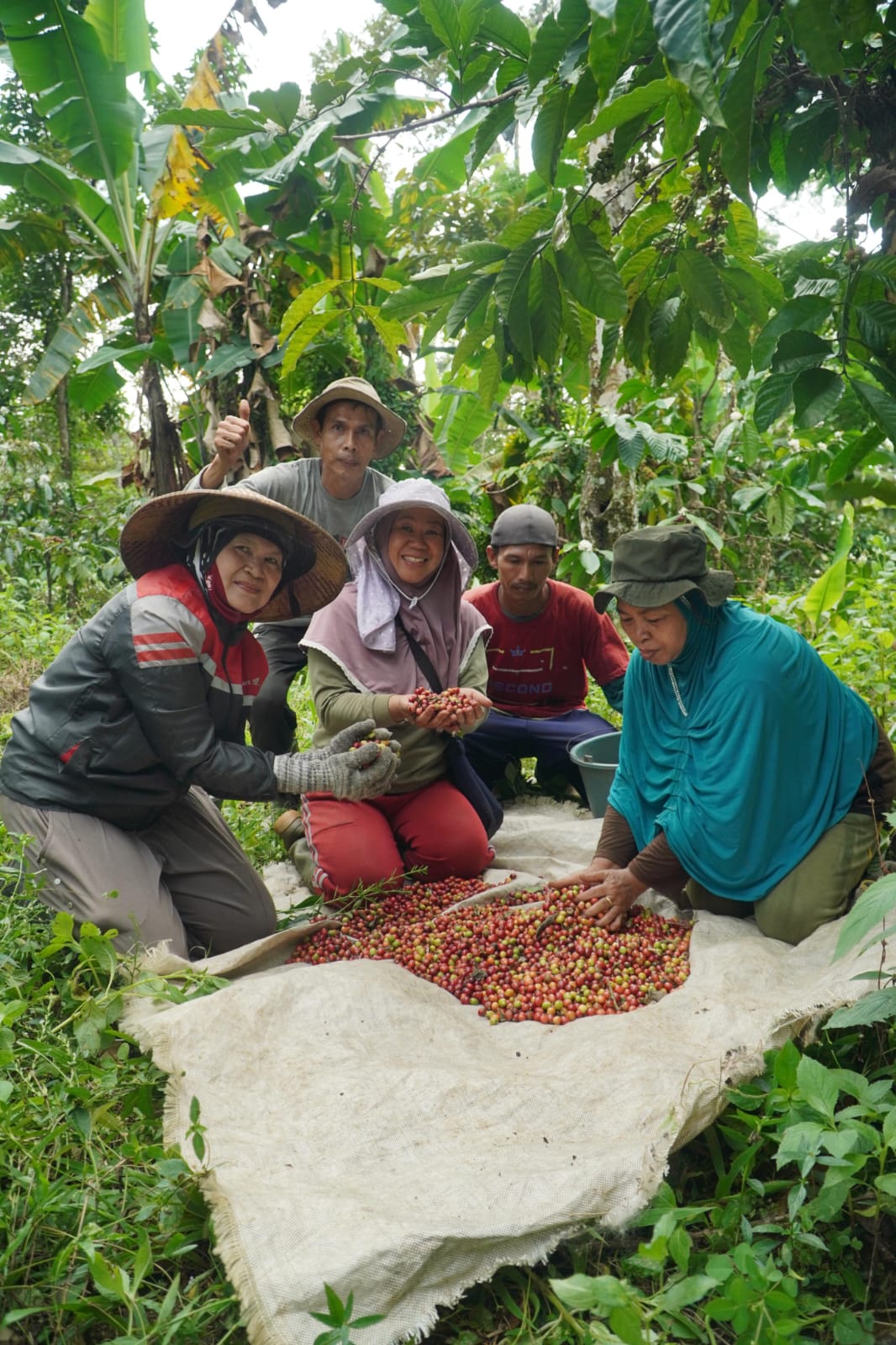 Dokumentasi Kopi Kutjur Gallery 14