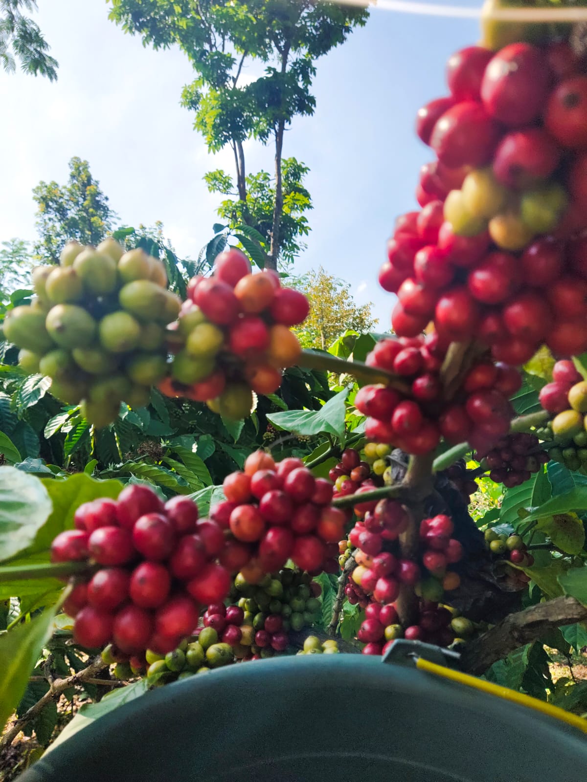 Dokumentasi Kopi Kutjur Gallery 5